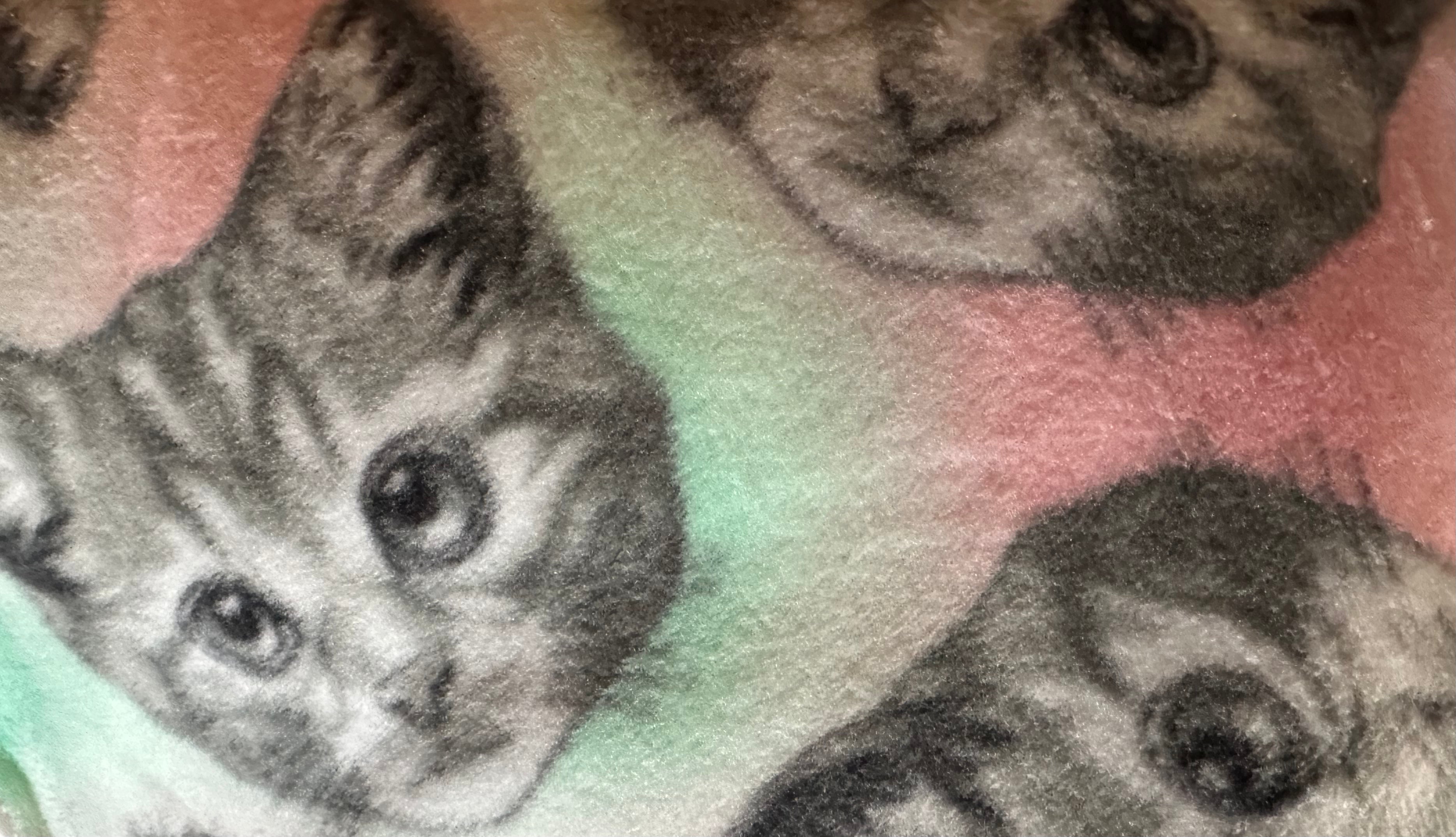 Adult Fleece Lounge Pants